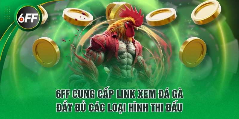 6FF cung cấp link xem đá gà đầy đủ các loại hình thi đấu