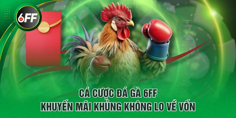 Cá cược đá gà 6FF khuyến mãi khủng không lo về vốn